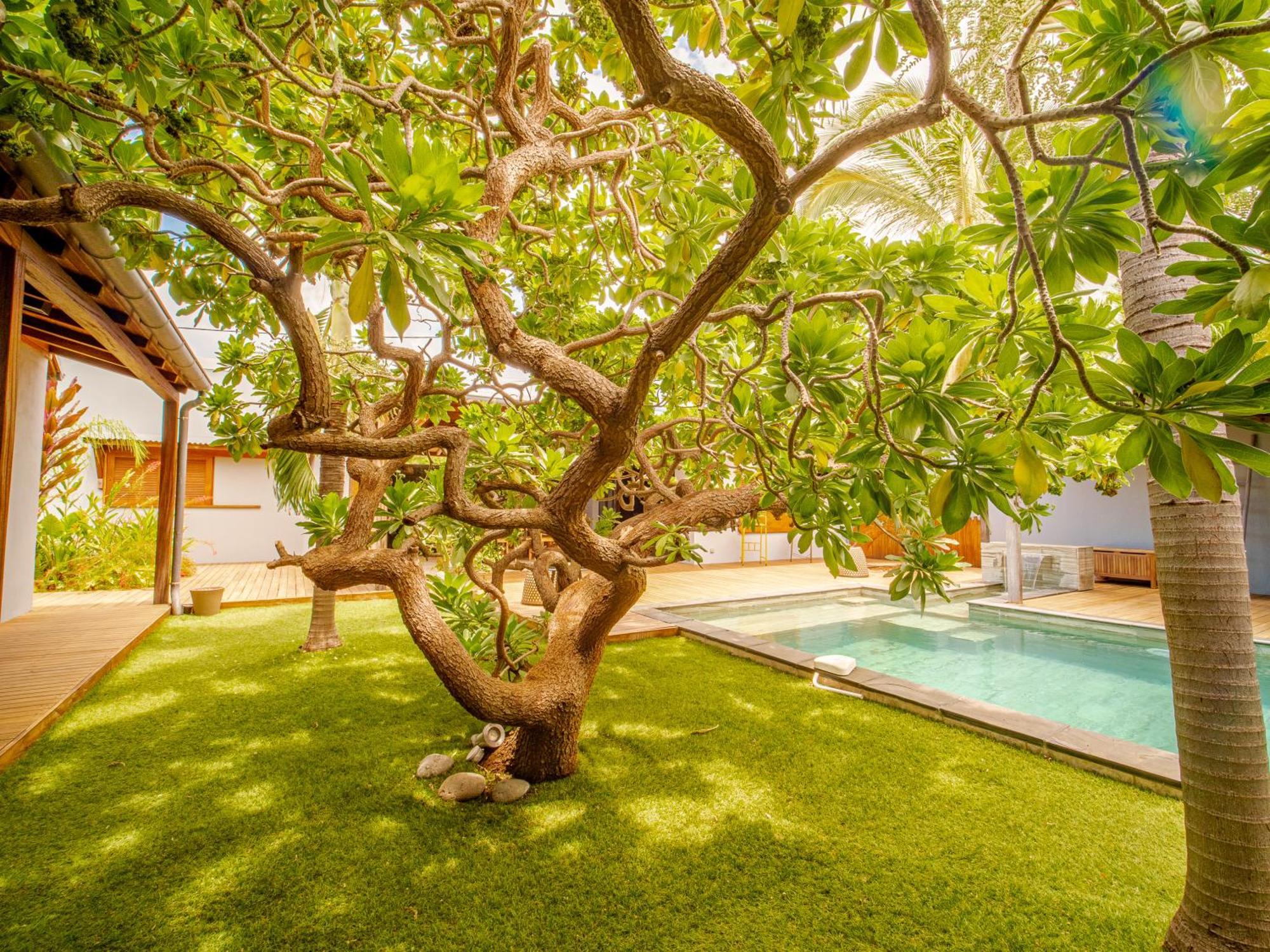La Kaz Veloutier - Villa 4 Chambres Avec Piscine La Saline Les Bains Zewnętrze zdjęcie